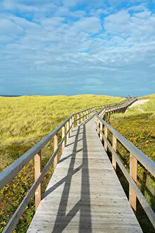 Grass Collection: Wooden boardwalk leading to Kampen beach, Kampen, Sylt, Nordfriesland, Schleswig-Holstein, Germany