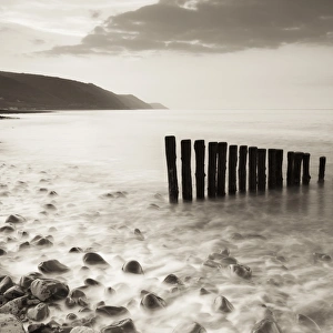 Wooden groynes on Bossington Beach at sunset, Exmoor National Park, Somerset, England
