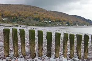 Wooden groynes on Porlock Beach, looking towards Worthy Wood above Porlock Weir, Exmoor