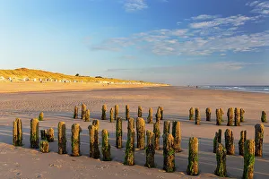 Rantum Prints: Wooden groynes on Rantum beach, Sylt, Schleswig Holstein, Germany