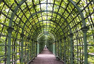 Eastern Collection: A wooden pergola of the Summer Garden (Letniy sad), Saint Petersburg, Russia