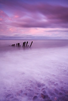 Pebble Prints: Wooden posts at high tide on Porlock Beach, Exmoor, Somerset