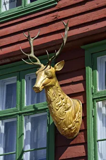 Bergen Prints: Wooden statue of a deer on a house facade