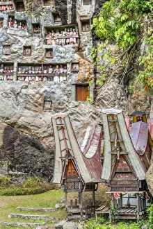 Images Dated 13th September 2018: Wooden statues of Tau Tau tombs guardians who represent the deceased persons