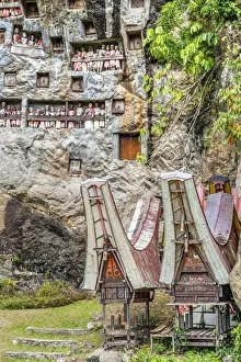 Death Prints: Wooden statues of Tau Tau tombs guardians who represent the deceased persons
