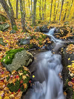 Streams Prints: Woodland waterfall, Muskoka, Ontario, Canada