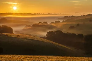 Wiltshire Prints: Woodley Down, Wiltshire, England