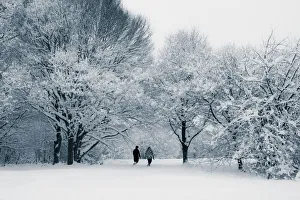Images Dated 2009 February: 