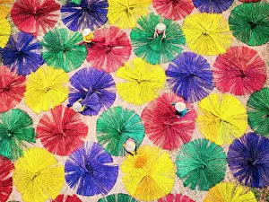 Straight Down Prints: Workers managing colorful drying sedges in circle patterns