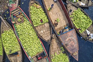 Images Dated 19th January 2021: Workers unload watermelons from the boats using big baskets, Sadarghat, Dhaka, Bangladesh