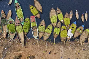 Images Dated 19th January 2021: Workers unload watermelons from the boats using big baskets, Sadarghat, Dhaka, Bangladesh