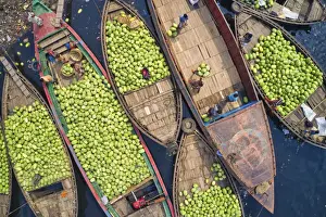 Dhaka Prints: Workers unload watermelons from the boats using big baskets, Sadarghat, Dhaka, Bangladesh