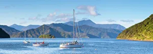 Yachts anchored on the idyllic Queen Charlotte Sound, Picton, Marlborough Sounds