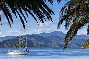 Images Dated 31st March 2014: Yachts anchored on the idyllic Queen Charlotte Sound, Picton, Marlborough Sounds