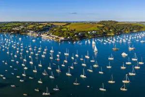 Falmouth Prints: Yachts moored between Falmouth and Flushing, Penryn river, Cornwall, England