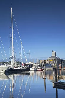 Yachts in Viaduct Harbour, Auckland, North Island, New Zealand