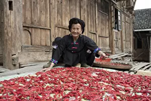 Images Dated 16th April 2021: Yao lady drying chillies, Longji, China