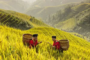 Images Dated 11th November 2020: Yao minority ladies, Longji rice terraces, Longshen, China