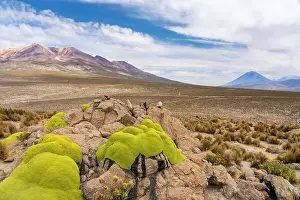 Peru Prints: Yareta-covered rocks and turfs of grass with El Misti and Pichu Pichu volcanoes in background