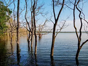 Laguna Prints: Yaxha Lake at Yaxha Archaeological Site, Peten Department, Guatemala