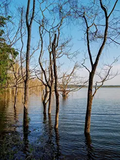 Laguna Prints: Yaxha Lake at Yaxha Archaeological Site, Peten Department, Guatemala