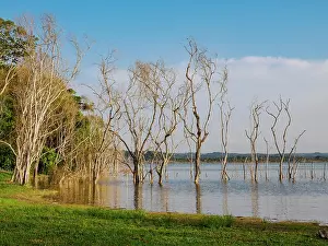 Laguna Prints: Yaxha Lake at Yaxha Archaeological Site, Peten Department, Guatemala