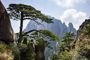 Images Dated 13th November 2020: Yellow Mountains, Huangshan, Anhui, China (UNESCO World Heritage Site)