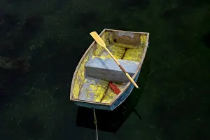 Port Clyde Prints: Yellow rowboat, Port Clyde, Maine, USA