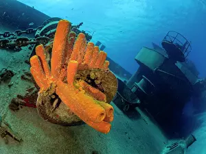 Wreck Prints: Yellow Tube Sponge cluster (Aplysina fistularis) on the USS Kittiwake wreck off Seven Mile Beach