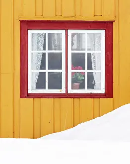 Troms Prints: Yellow wall and red windowframe of old wooden house in the snow