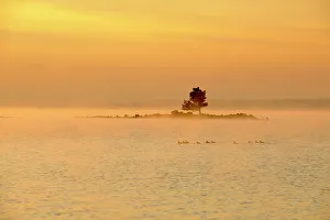 Wyoming Prints: Yellowstone Lake at sunrise, Yellowstone NP, Wyoming, USA