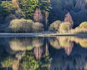 Moody Collection: Yew Tree Tarn Reflections, Lake District National Park, Cumbria, England