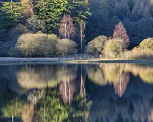 Holiday Destination Prints: Yew Tree Tarn Reflections, Lake District National Park, Cumbria, England
