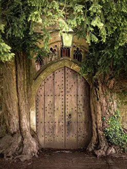 Cotswolds Prints: Yew trees surrounding the church door at St Edwards Church