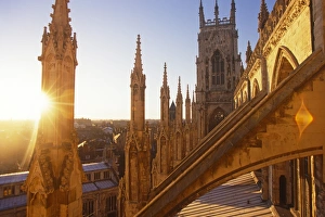 Grand Gallery: York Minster, City of York, North Yorkshire