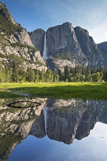 Yosemite Falls reflected in a meadow flood pool in Yosemite Valley, California, USA