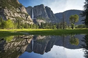Images Dated 2nd June 2016: Yosemite Falls viewed across a Yosemite Valley meadow, California, USA