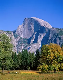 Yosemite National Park / Half Dome & Autumn Leaves, California, USA