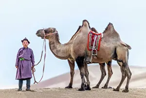 Mongolia Prints: Young camel herder and his camel, Khongor Dunes, Gobi Desert, Mongolia, Asia