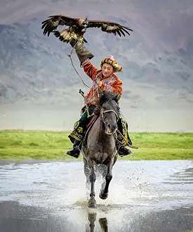 Attire Prints: Young Kazakh Eagle hunter galloping through water on horseback with his trained golden eagle