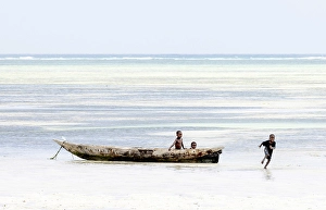 Playing Prints: Young local boys playing in a dugout canoe, Zanzibar, Bweju, Tanzania