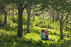 Young Prints: Young mother and inquisitive one year old toddler son in a woodland, Cutteridge Wood