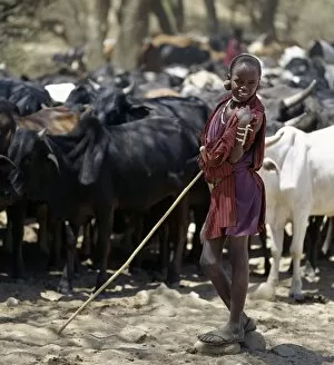 Maasai Tribe Collection: A young Msai herdsboy