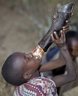 Tribal Attire Gallery: A young Samburu boy sucks marrow straight from the leg bone of a cow