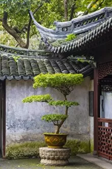 Images Dated 7th November 2016: Yu Yuan Gardens, Old City, Shanghai, China