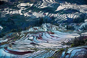Farming Prints: Yuangyang Rice Terraces at Bada, China