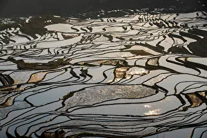 Farming Prints: Yuangyang Rice Terraces at Duoyishu, China