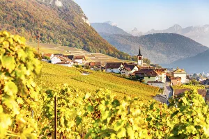 Yvorne, Canton of Vaud, Switzerland, Europe