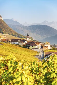 Yvorne, Canton of Vaud, Switzerland, Europe