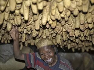 Images Dated 21st May 2007: A Zafimaniry woman removes a dried maize cob hanging